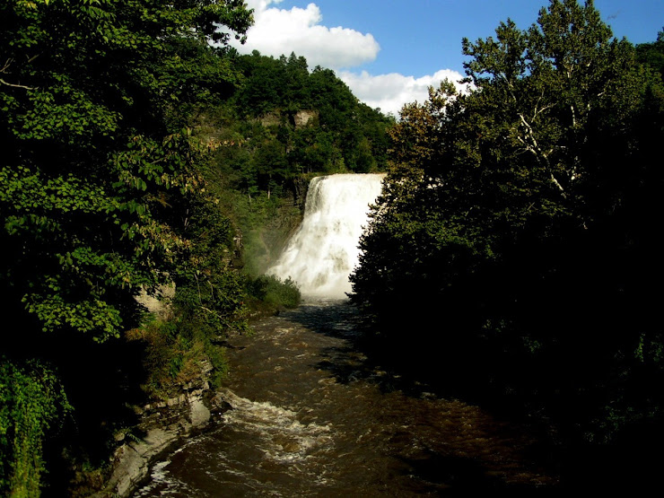 steve finckbeiner, Cornell, Ithaca Falls